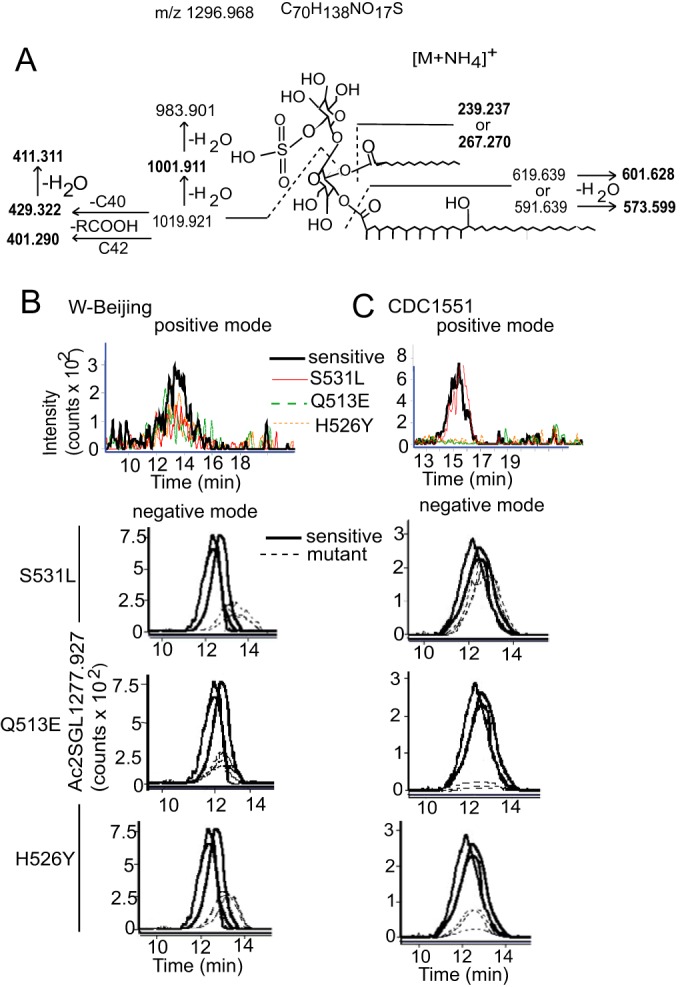 FIGURE 4.