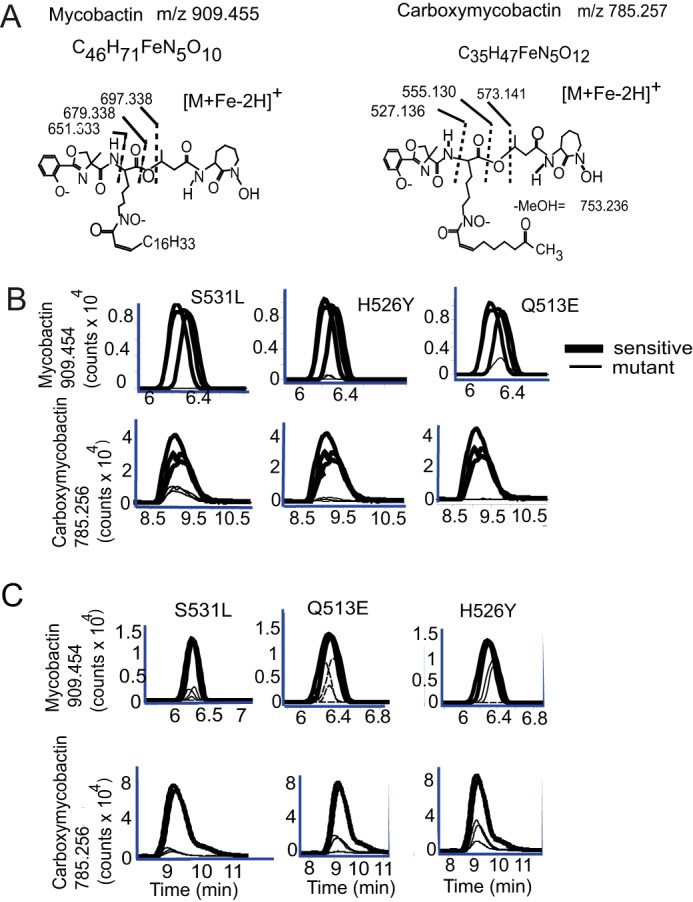 FIGURE 3.