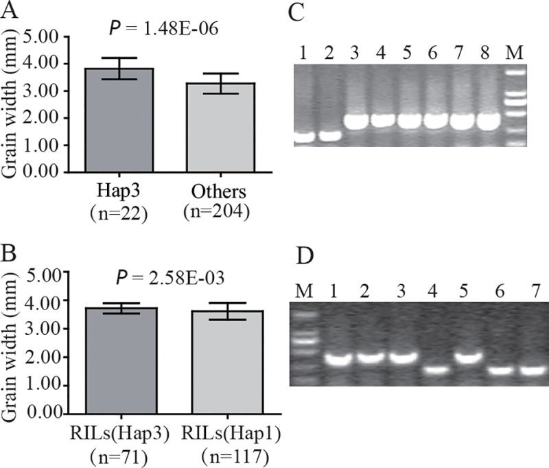 Fig 7