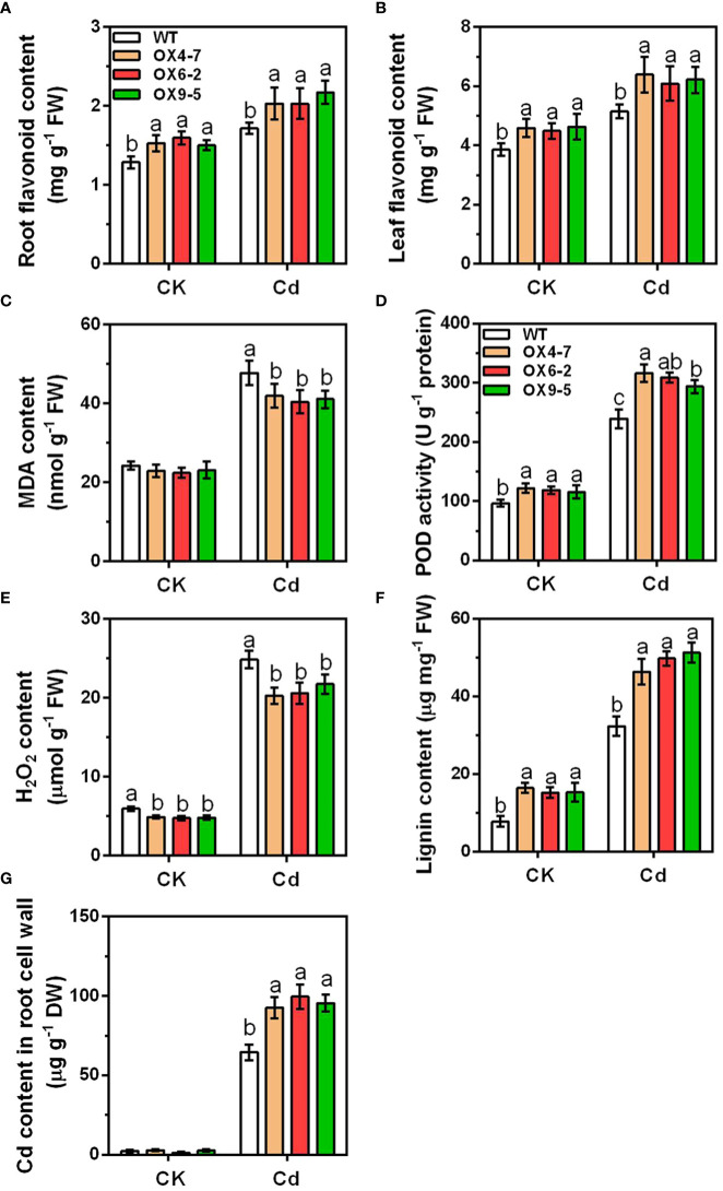 Figure 6