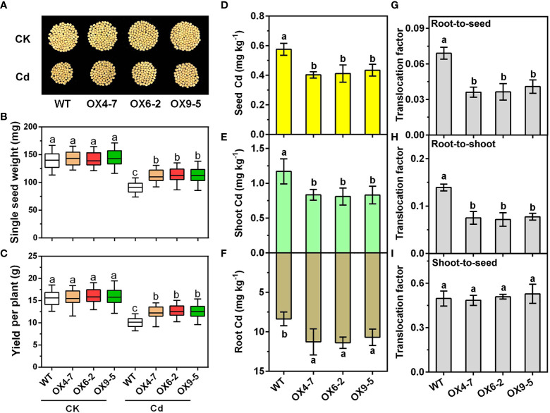 Figure 4