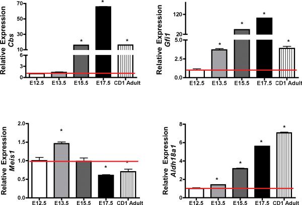 FIGURE 3