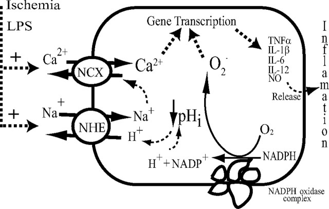 Figure 10.