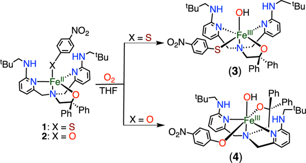 Scheme 2.