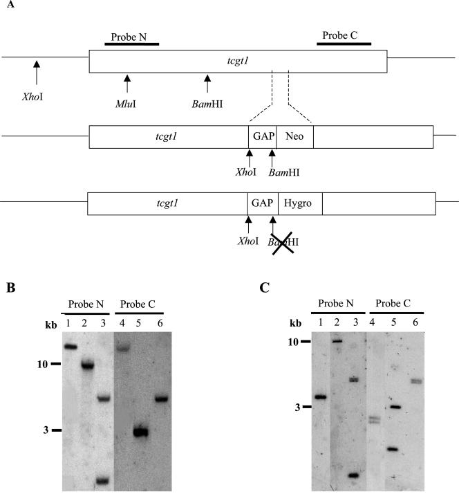 Figure 2.