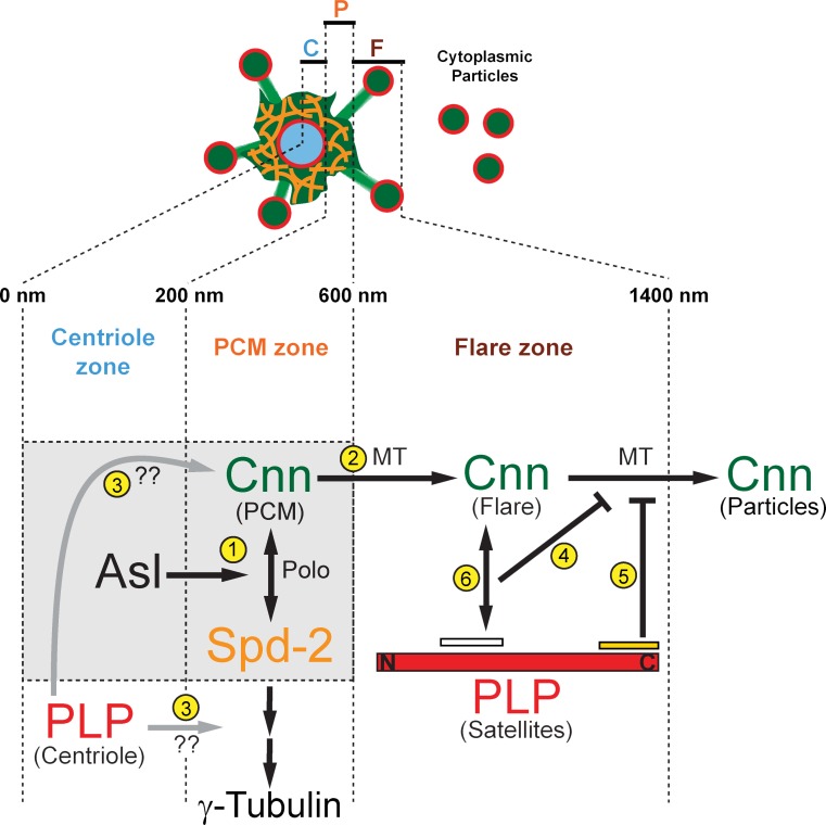 Figure 10.