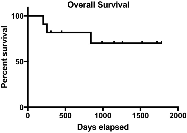 Fig. 2