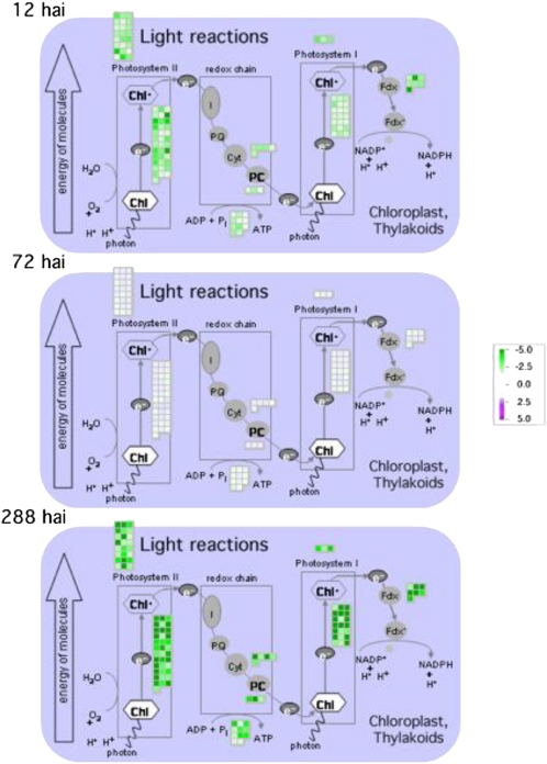 Figure 9.