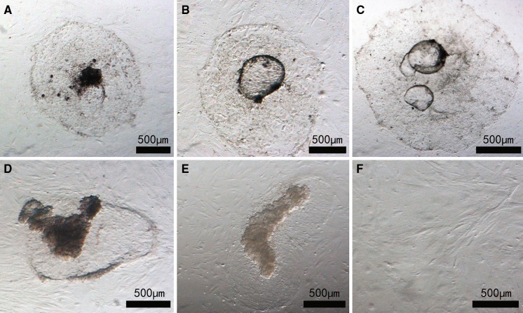 Fig. 4