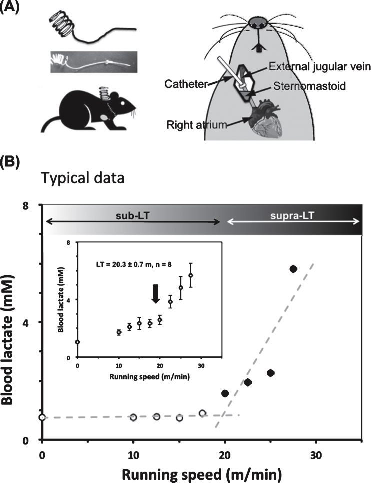 Fig.1