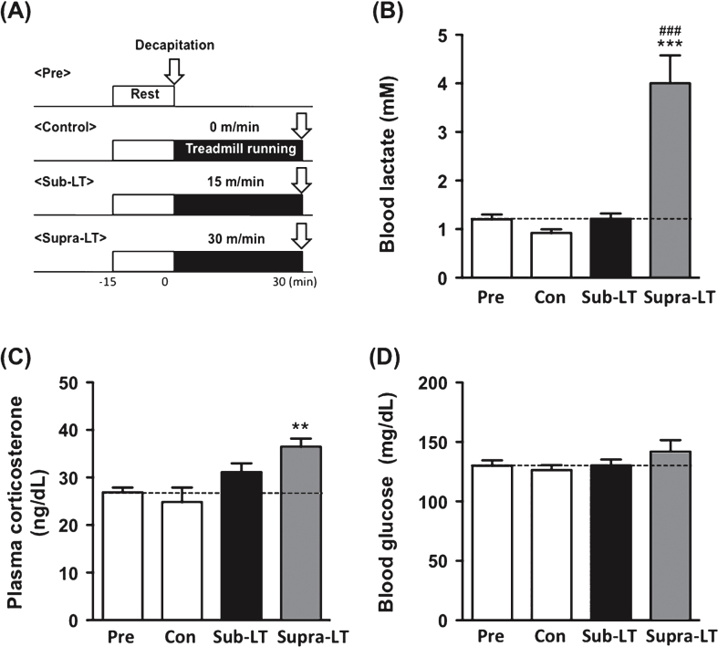 Fig.2