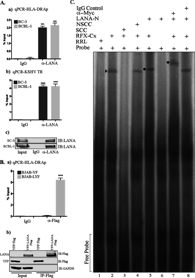 FIG 5