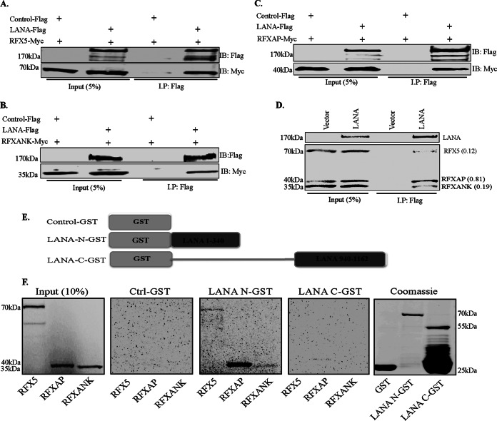 FIG 2