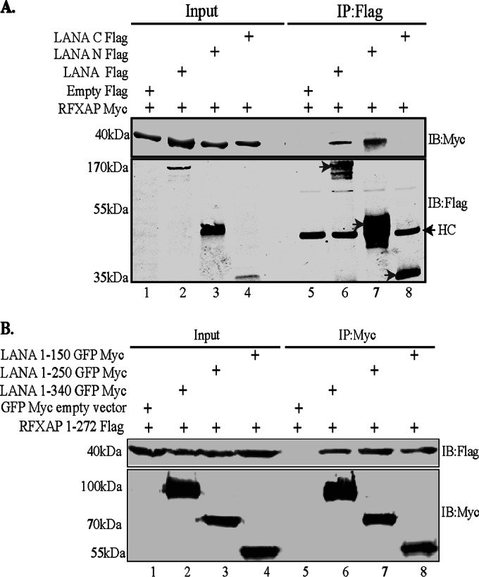 FIG 3