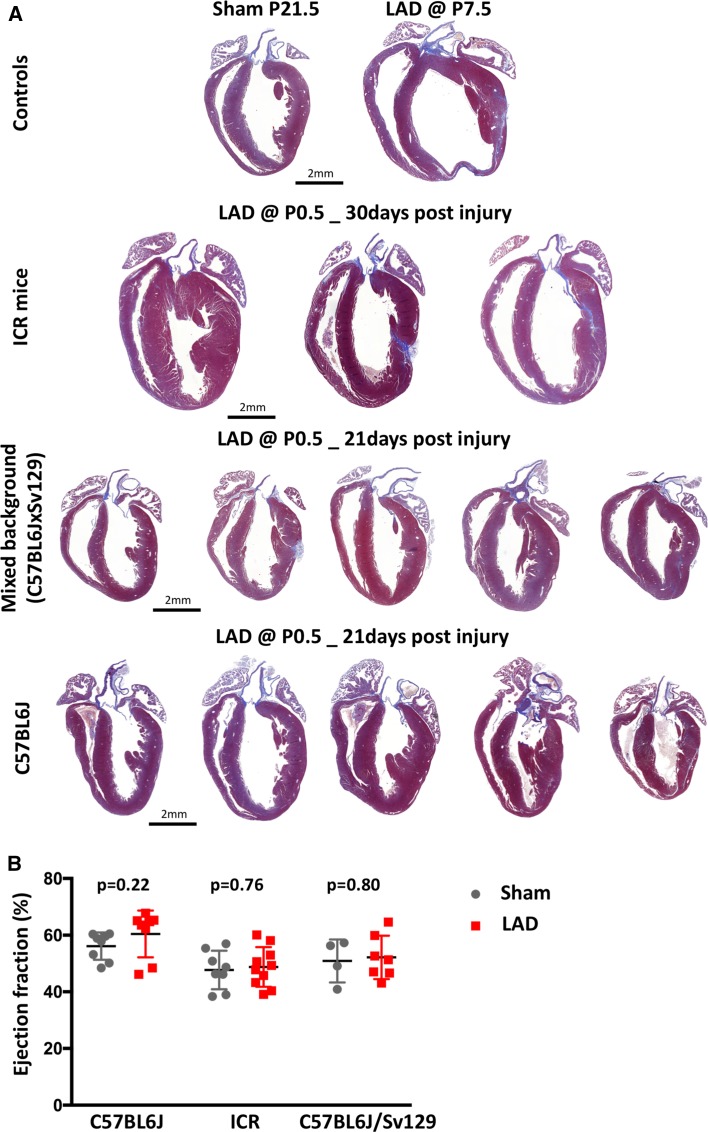 Fig. 6