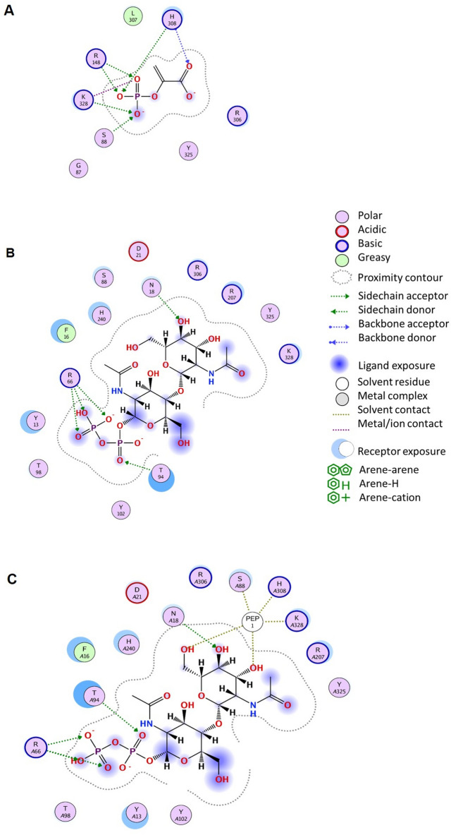 Figure 3