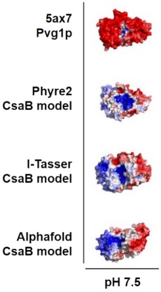 Figure 1