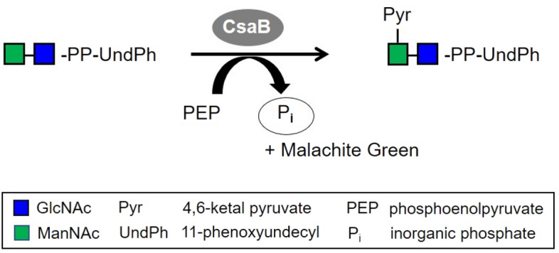 Figure 6