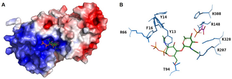 Figure 4