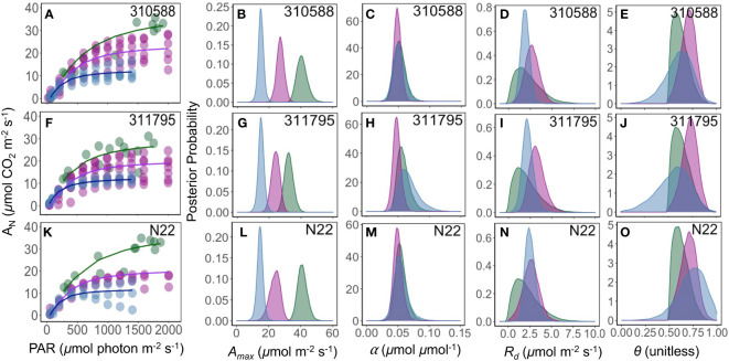 Figure 5
