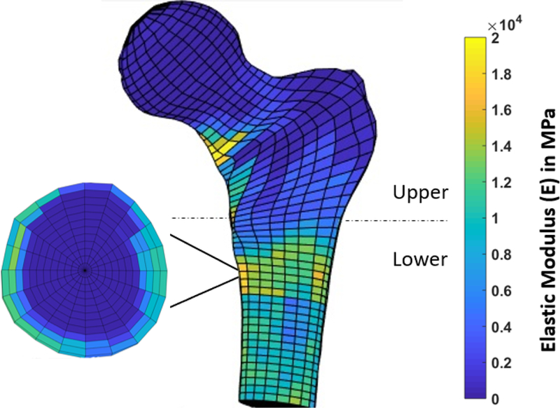 Figure 1–