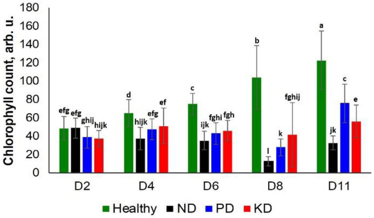 FIGURE 3