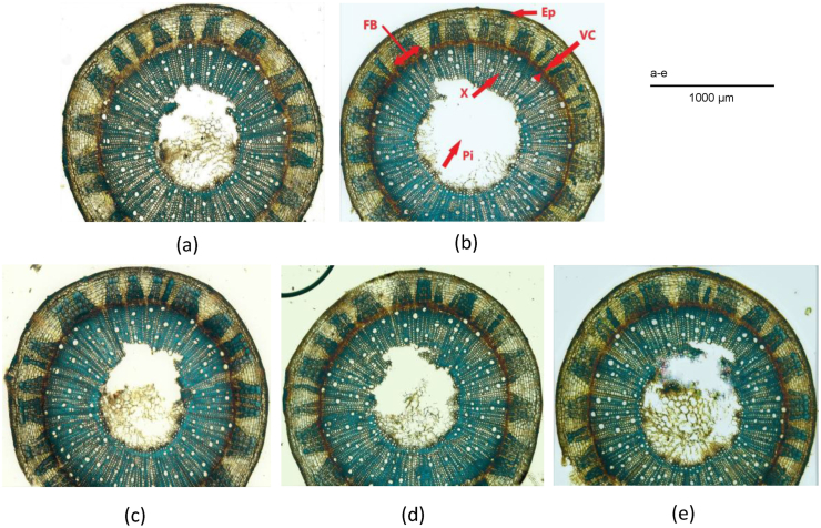 Figure 3