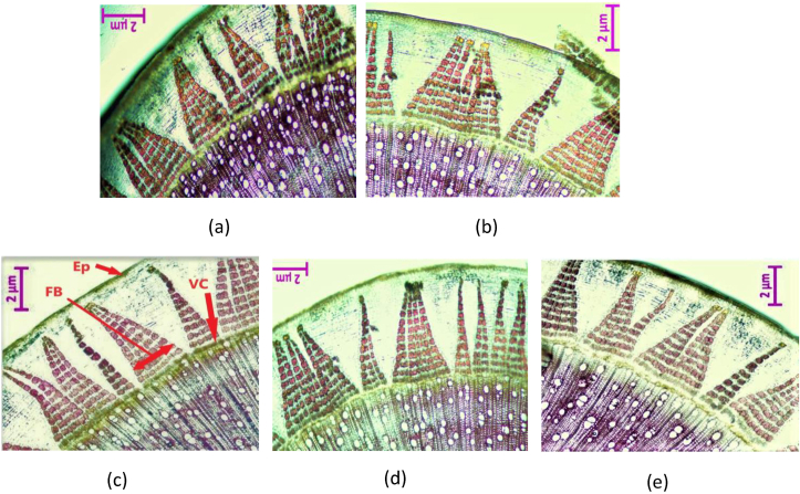 Figure 2