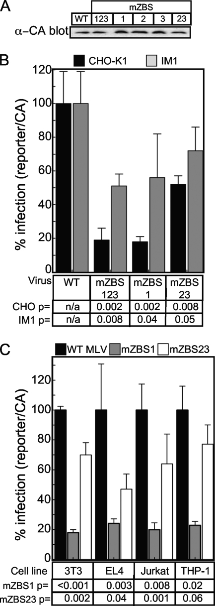 FIG. 8.