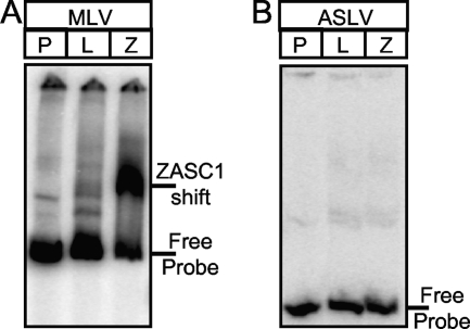 FIG. 5.