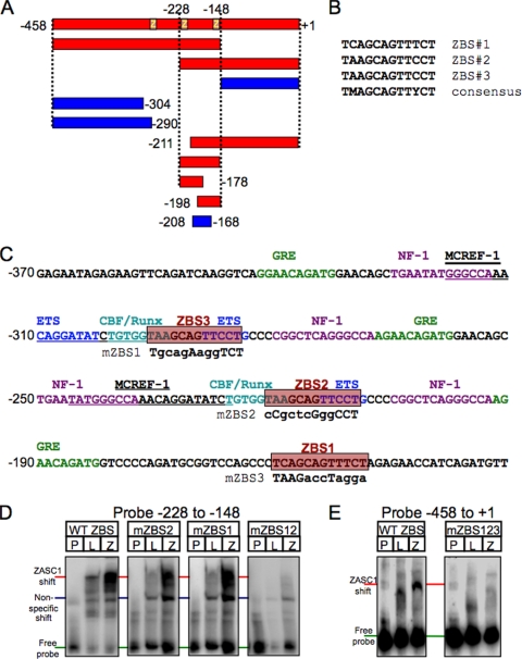 FIG. 6.