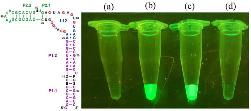 Figure 4.