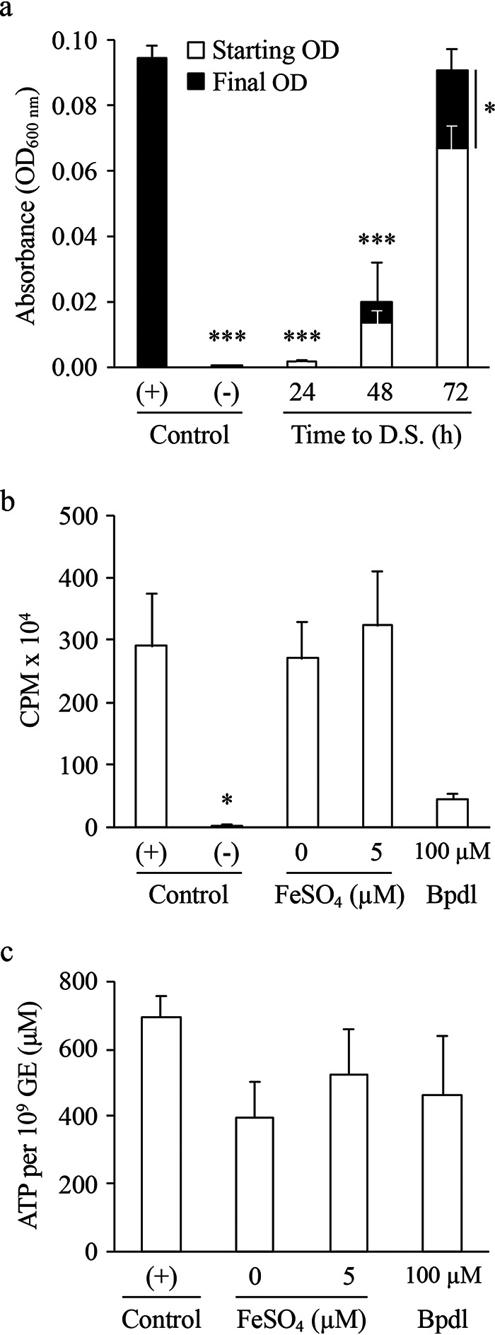 FIG 4