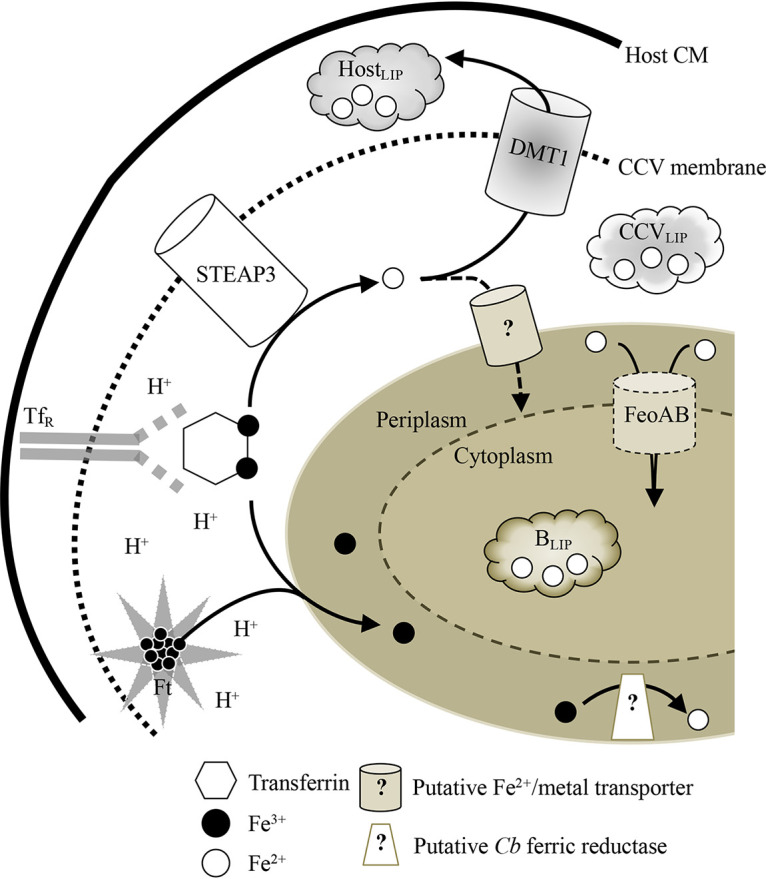 FIG 7