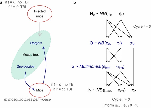 Fig. 1