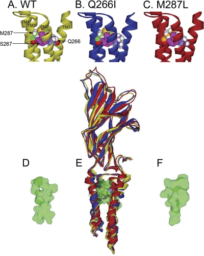 Fig. 10.