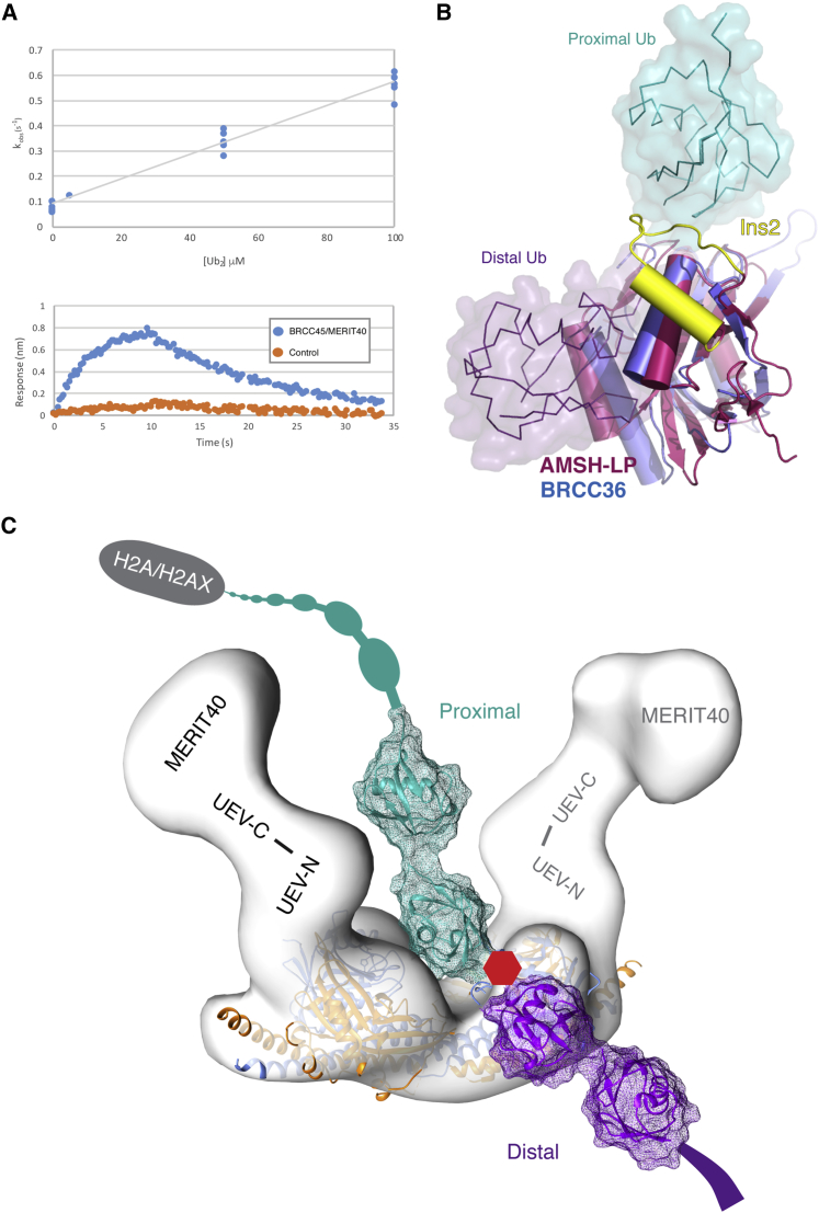 Figure 3