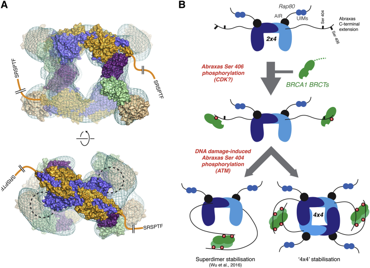 Figure 4