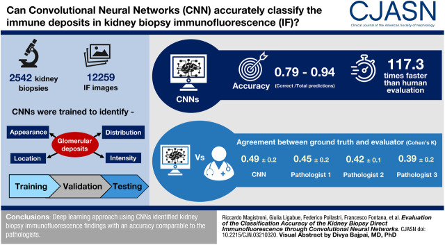 graphic file with name CJN.03210320absf1.jpg