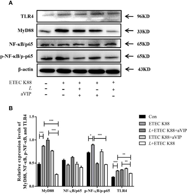 Figure 7