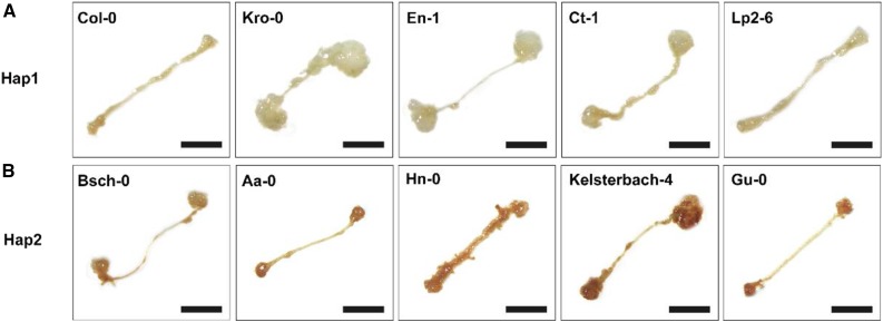 Figure 12.