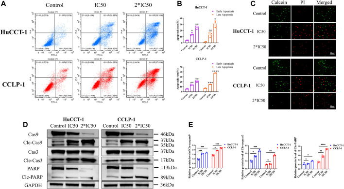 FIGURE 2