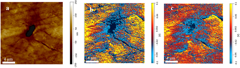 Fig. 3