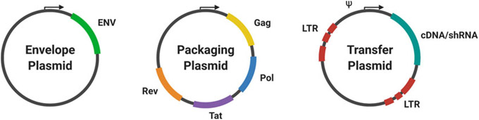 Fig. 1