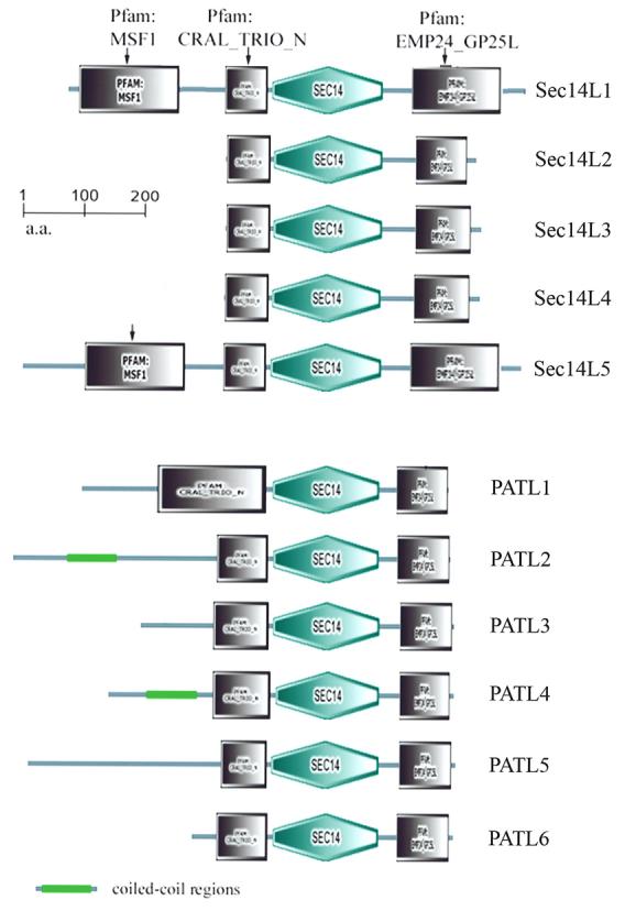 Fig. 5