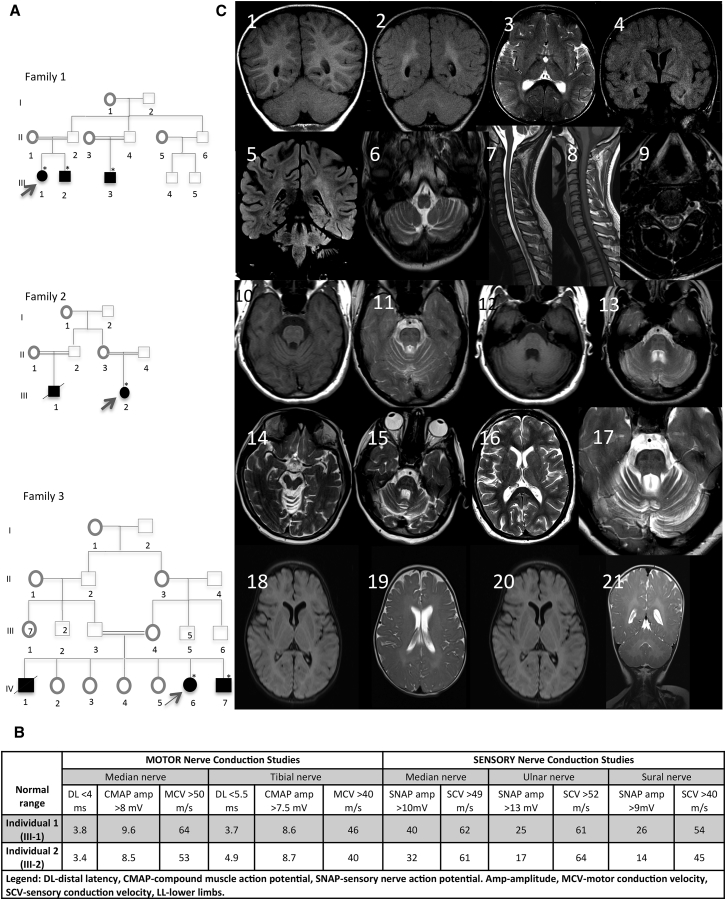 Figure 1