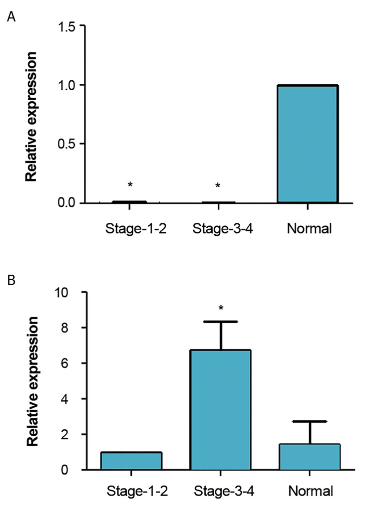 Fig.3