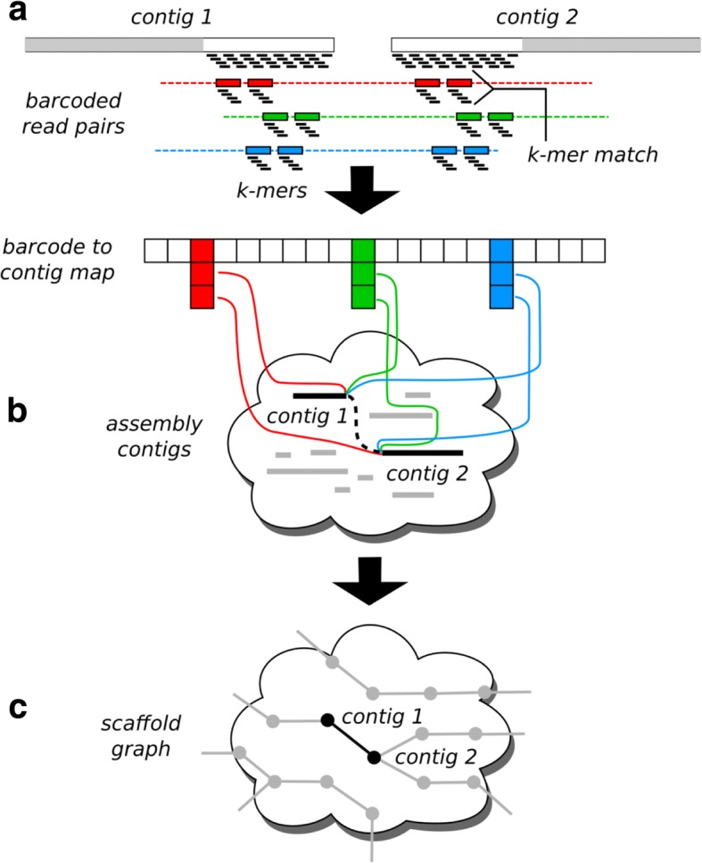 Fig. 1