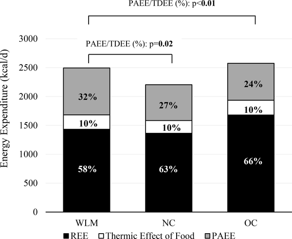 Figure 3: