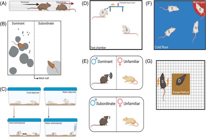 FIGURE 3